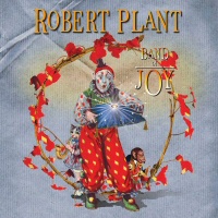 Band Of Joy  - ROBERT PLANT