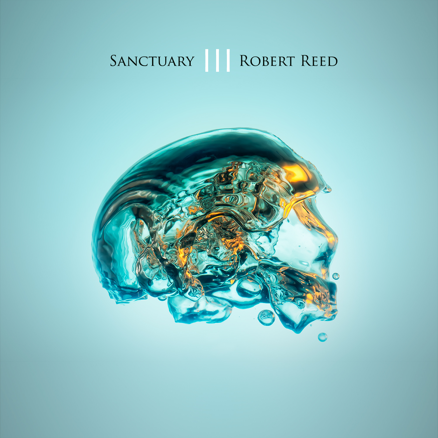 Sanctuary III (CD X2) - ROBERT REED