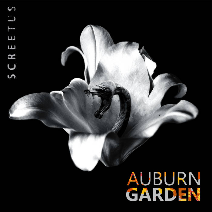 Auburn Garden - SCREETUS