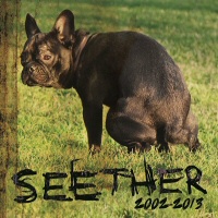 Seether: 2002-2013 - SEETHER