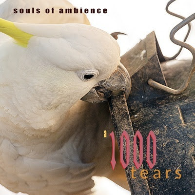 A 1000 Tears - SOULS OF AMBIENCE