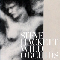 Wild Orchids  - STEVE HACKETT