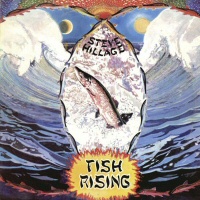 Fish rising - STEVE HILLAGE