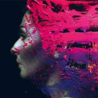 Hand Cannot Erase  - STEVEN WILSON