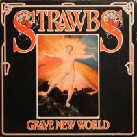 Grave New World  - STRAWBS