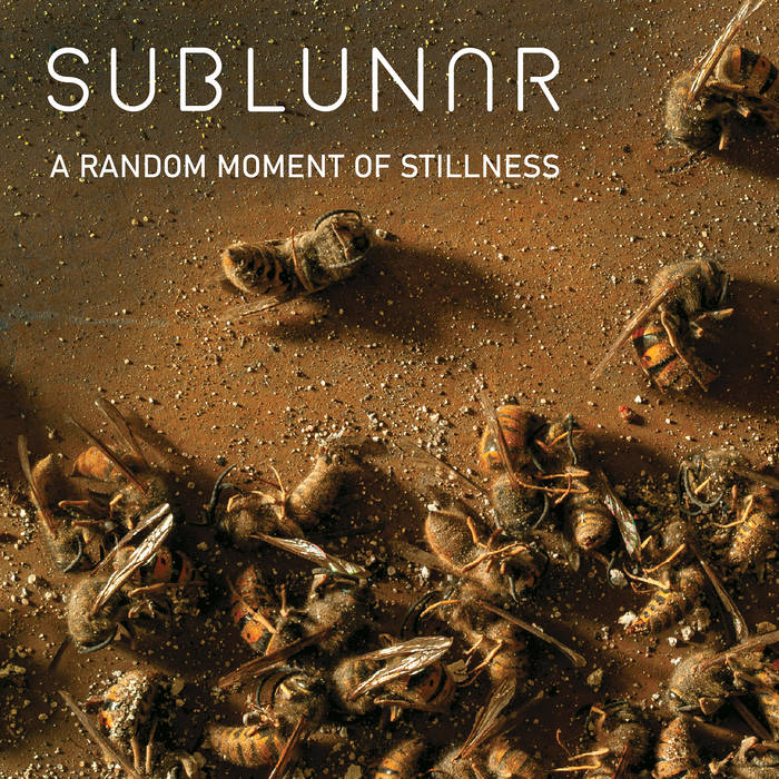 A Random Moment of Stillness - SUBLUNAR