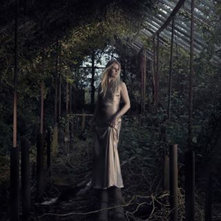 An abandoned orchid house - TALITHA RISE