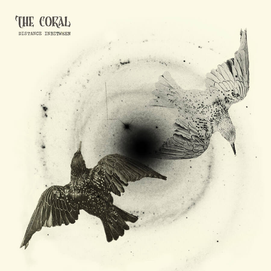 Distance inbetween - THE CORAL