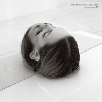 Trouble Will Find Me - THE NATIONAL