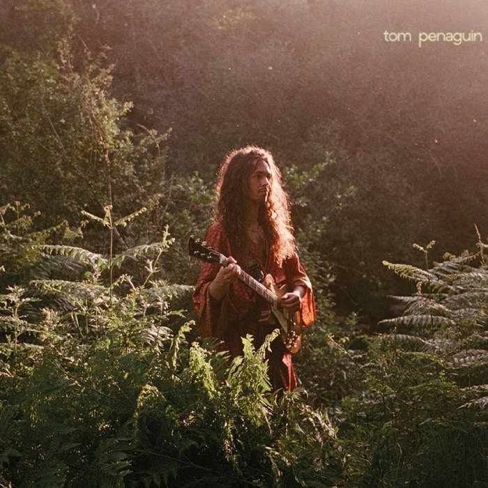 Tom Penaguin - TOM PENAGUIN
