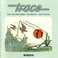 Birds  - TRACE
