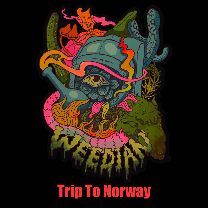 Trip to Norway - WEEDIAN (Various Artists)