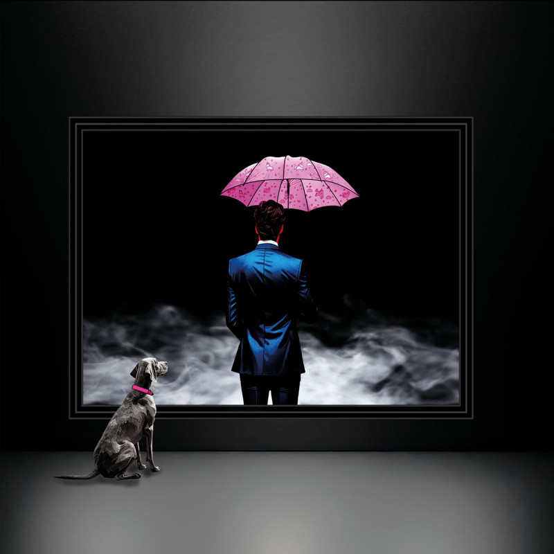 Every Picture Tells A Story - UNICORN UMBRELLAS