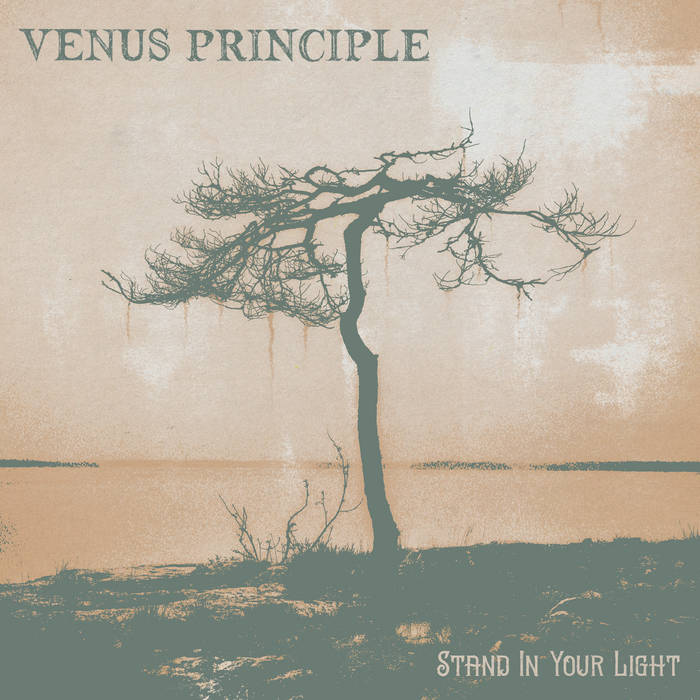 Stand in your light - VENUS PRINCIPLE