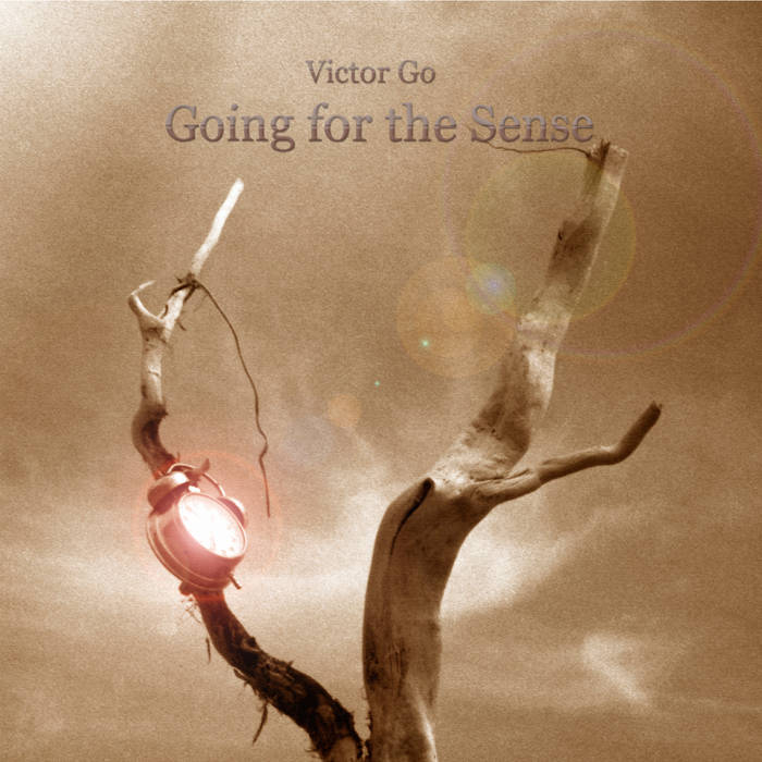 Going for the sense - VICTOR GO