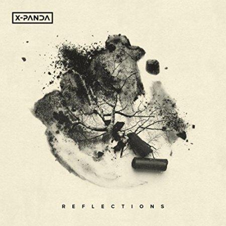 Reflexions - X-PANDA